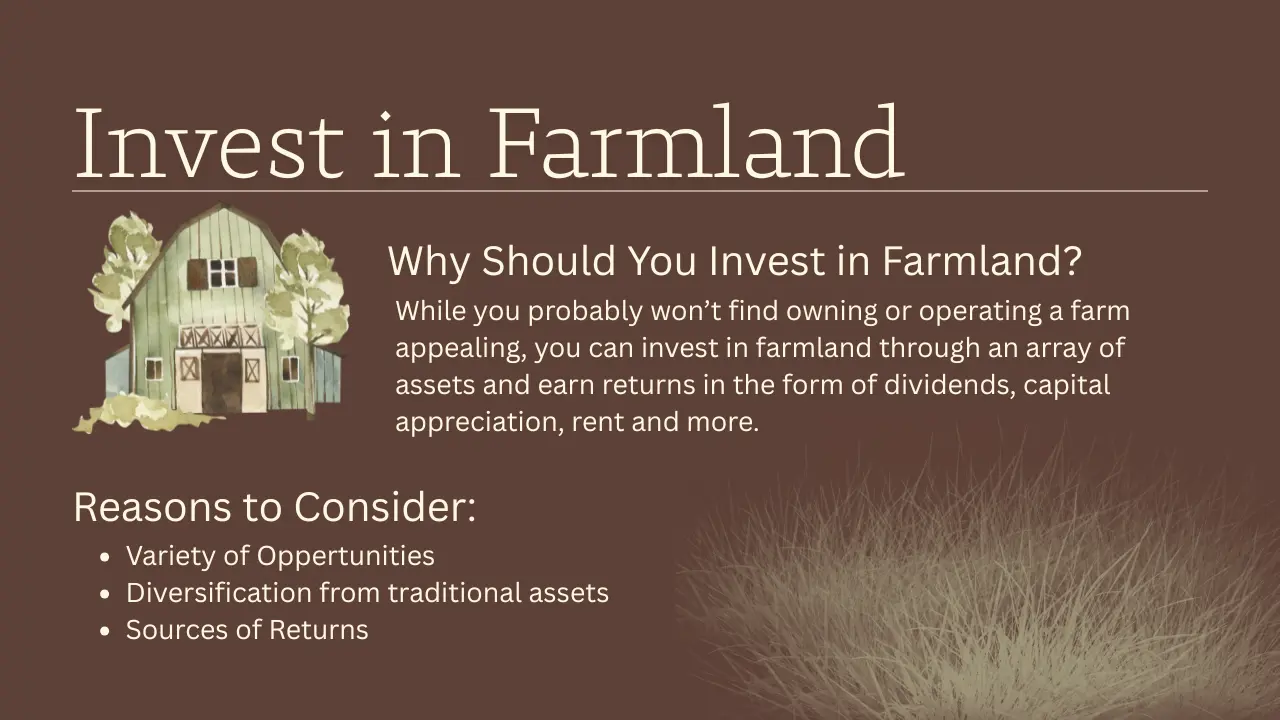 invest in farmland